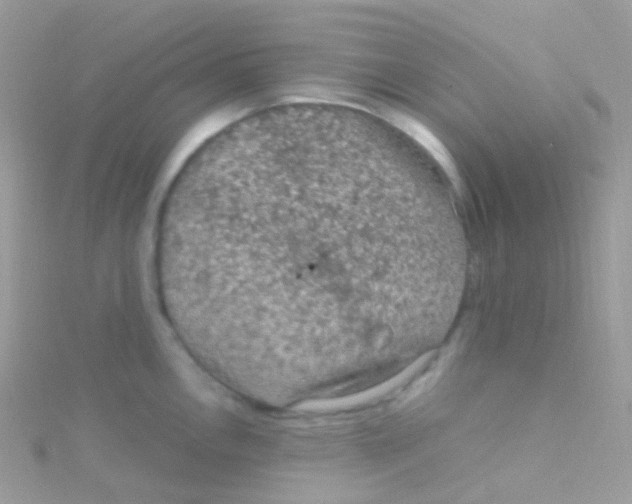 X0000115061146200911231210