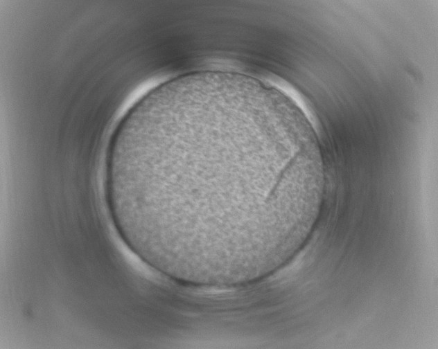 X0000115061147200911231210