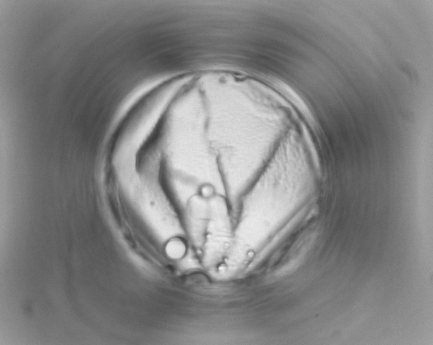 X0000115061149200911231210