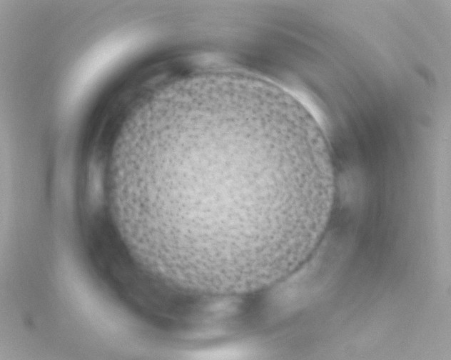 X0000115061150200911231210