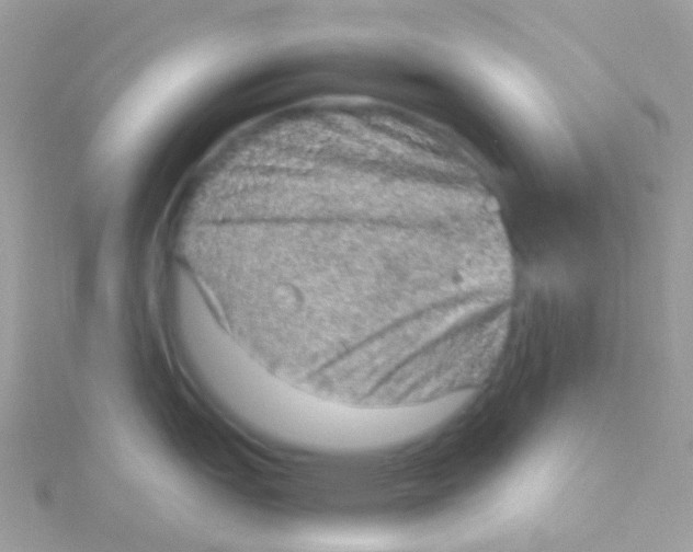 X0000115061151200911231210