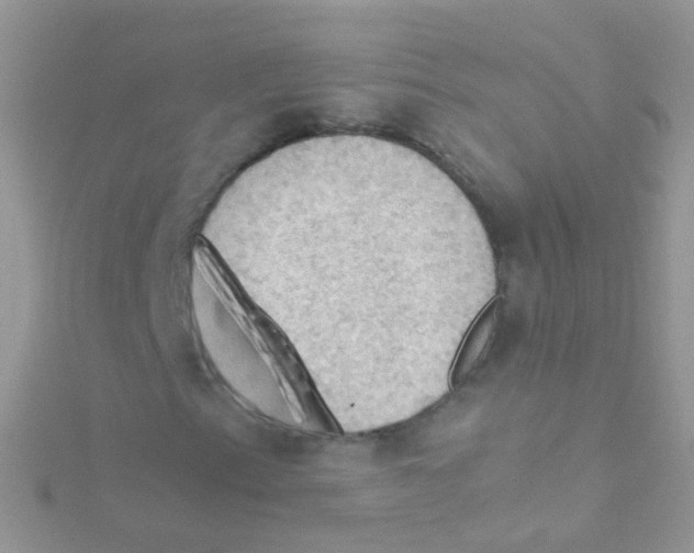 X0000115061153200911231209