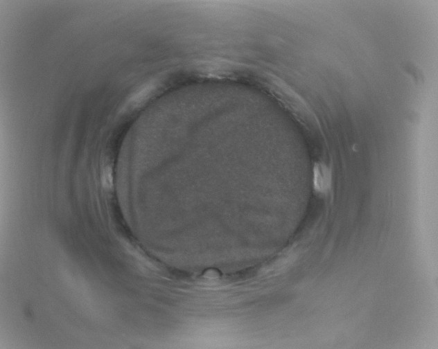 X0000115061155200911231209