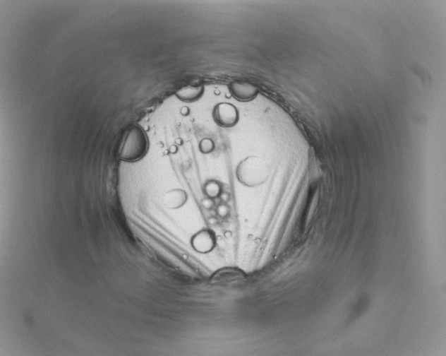 X0000115061156200911231209