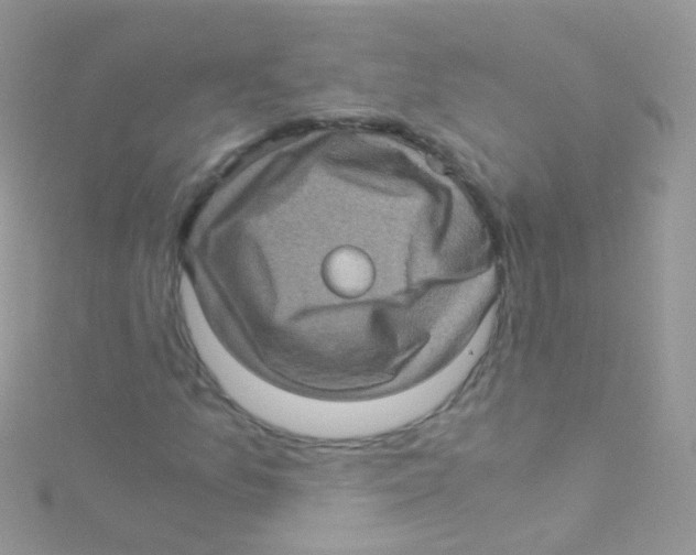 X0000115061157200911231209