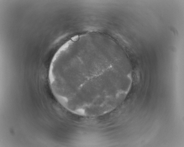 X0000115061158200911231209