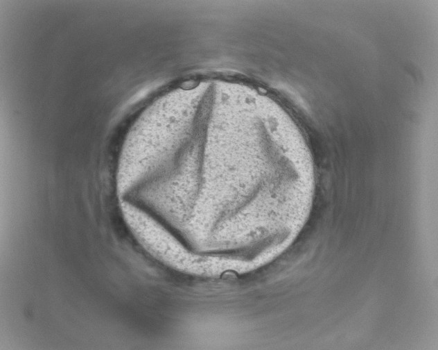 X0000115061159200911231209