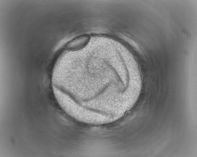 X0000115061160200911231209