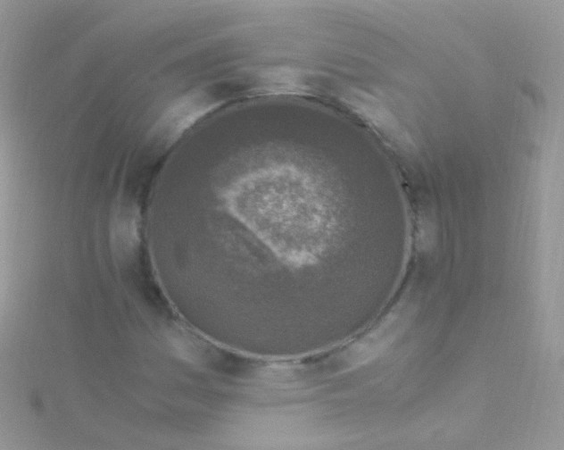 X0000115061161200911231209