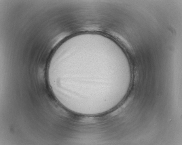 X0000115061162200911231209