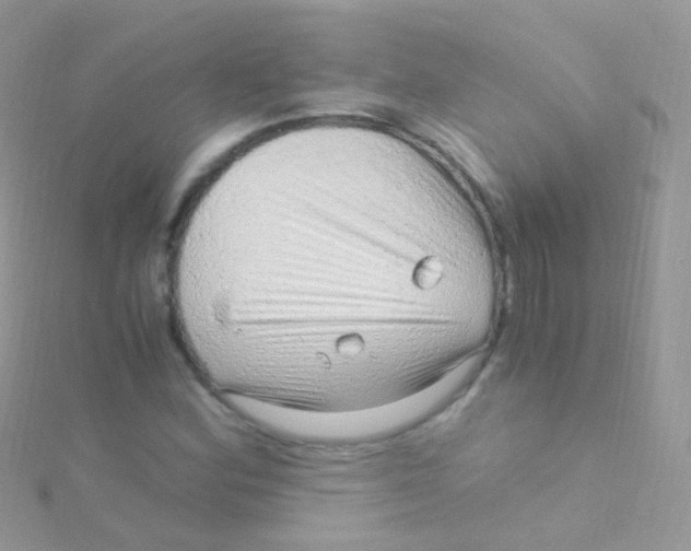 X0000115061164200911231209