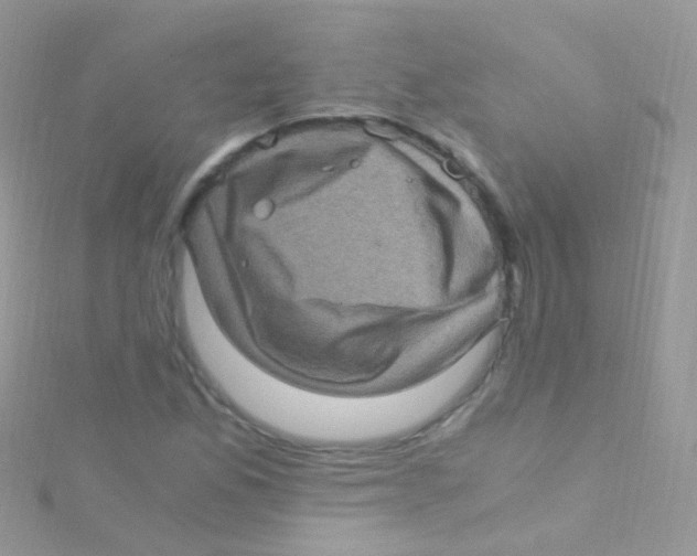 X0000115061165200911231209