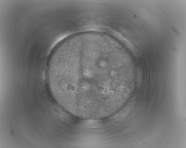 X0000115061166200911231209