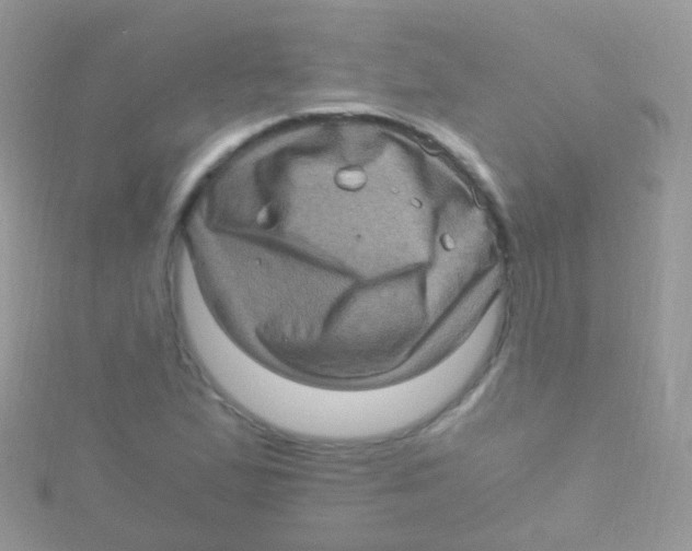 X0000115061167200911231208