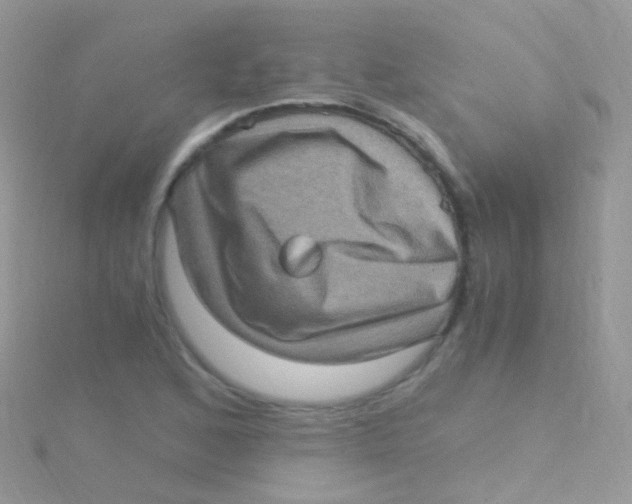 X0000115061168200911231208