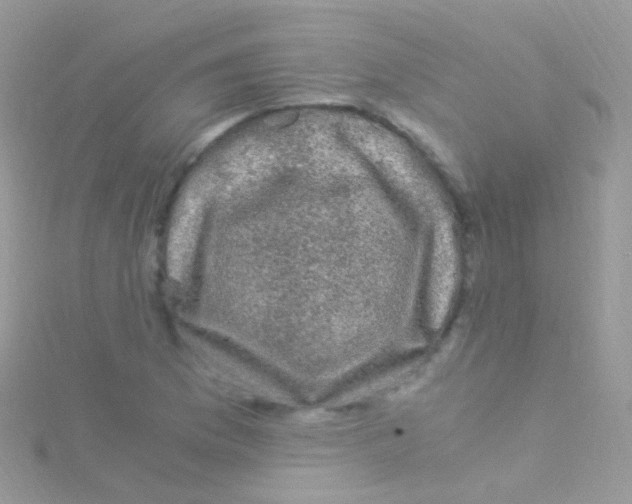 X0000115061169200911231208