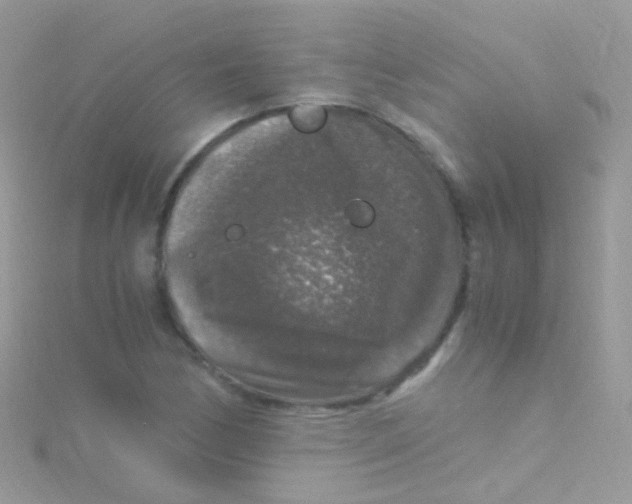 X0000115061170200911231208