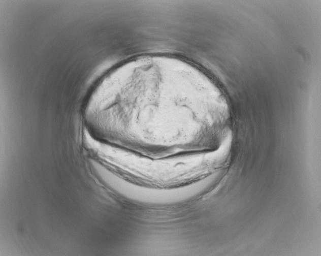 X0000115061171200911231208