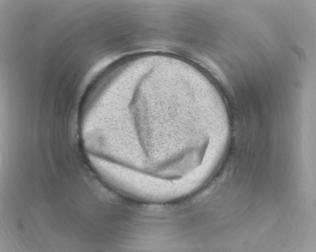 X0000115061172200911231208