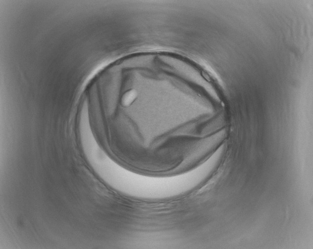 X0000115061173200911231208