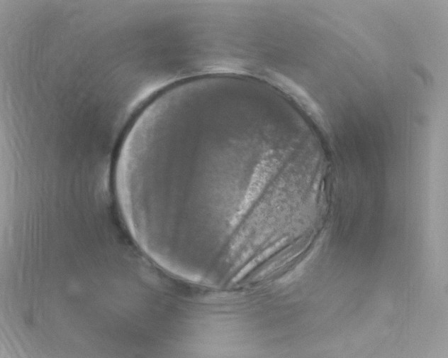 X0000115061174200911231208