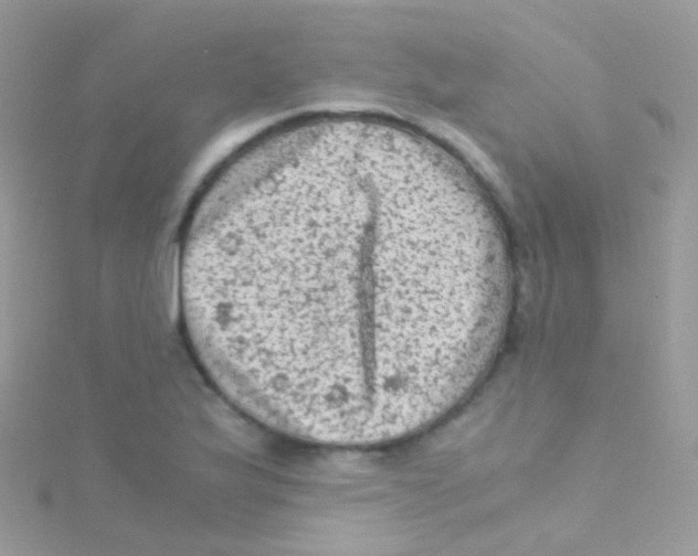 X0000115061175200911231208