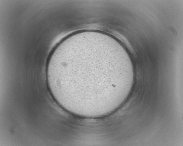 X0000115061176200911231208