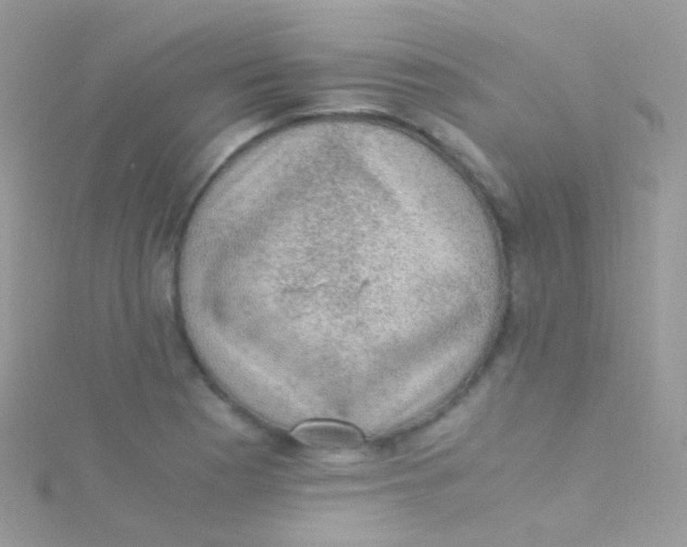 X0000115061177200911231208