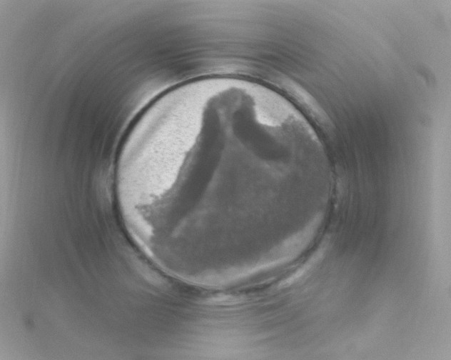 X0000115061178200911231208