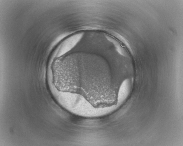 X0000115061179200911231208