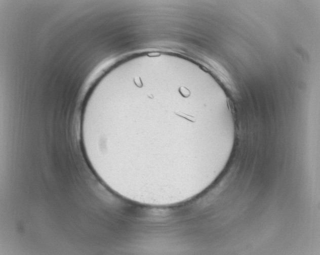 X0000115061180200911231208