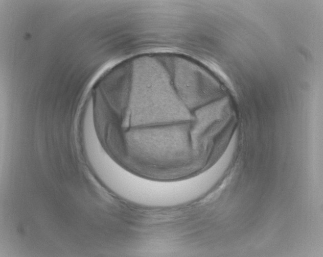 X0000115061181200911231208