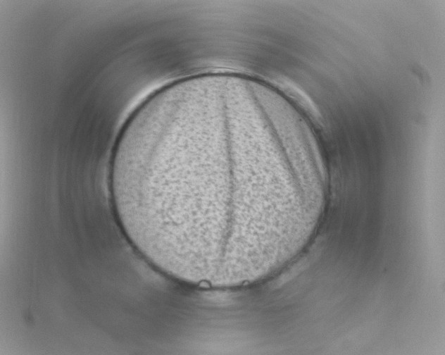 X0000115061182200911231208