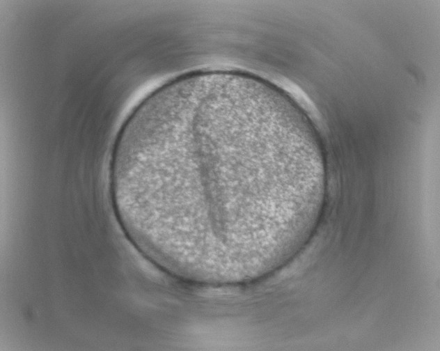 X0000115061183200911231208