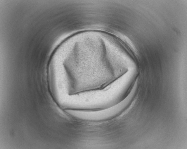 X0000115061184200911231208