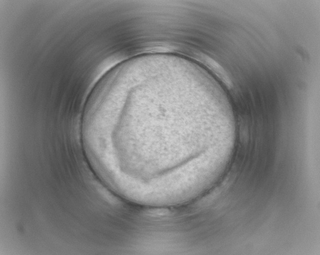 X0000115061186200911231208