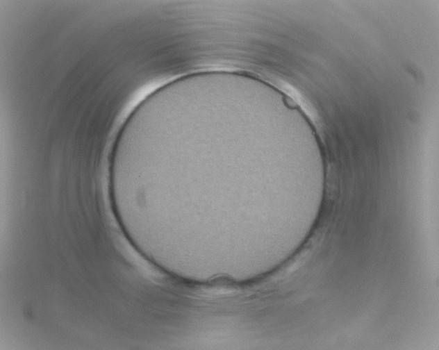 X0000115061187200911231208