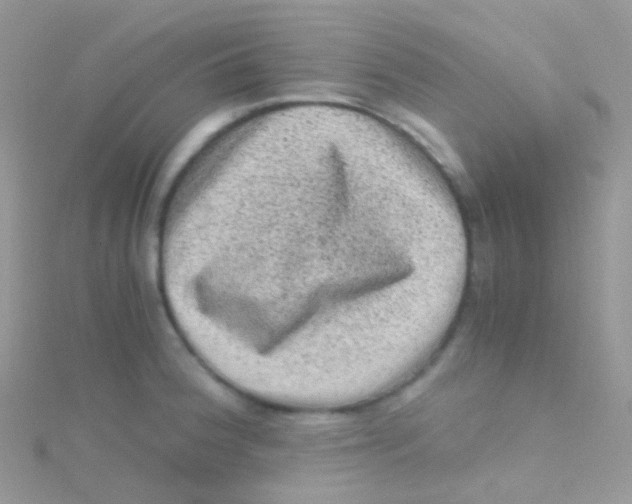 X0000115061188200911231208