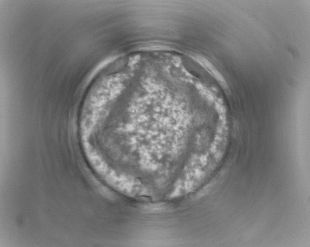 X0000115061189200911231208