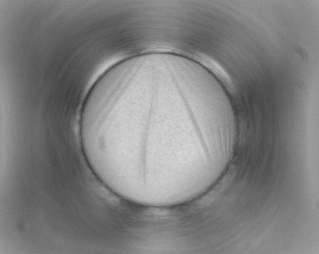 X0000115061190200911231208