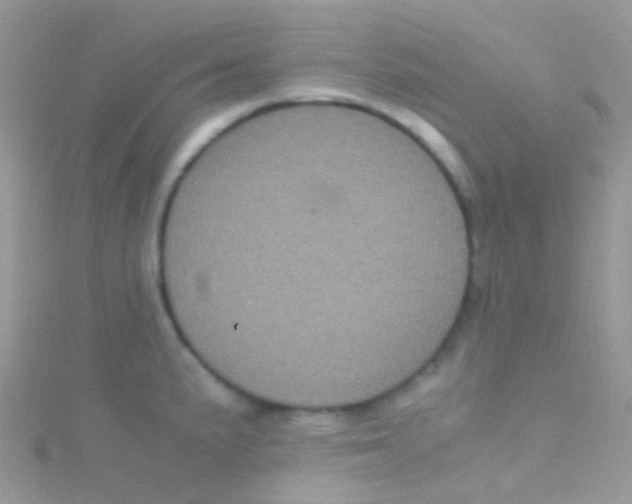 X0000115061191200911231208