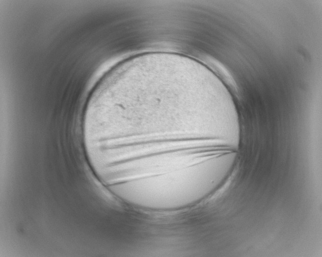 X0000115061192200911231208