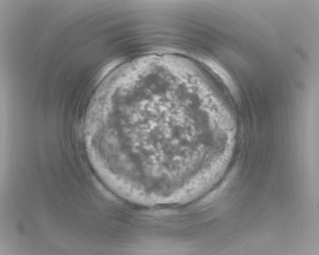 X0000115061193200911231208