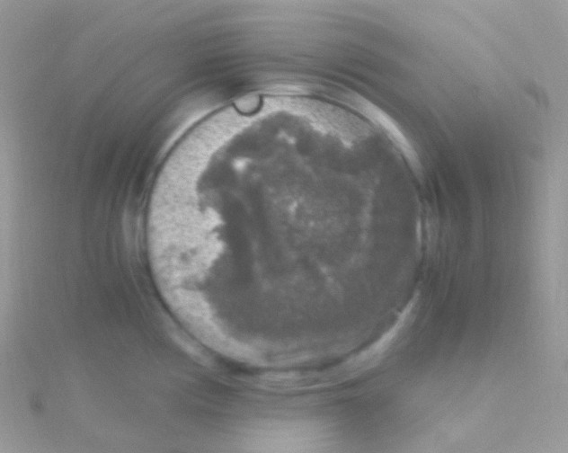 X0000115061194200911231208