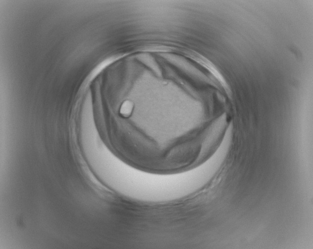 X0000115061195200911231208