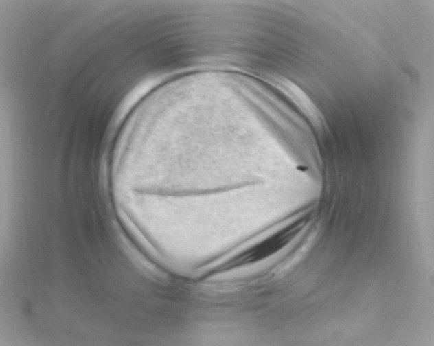 X0000115061196200911231208