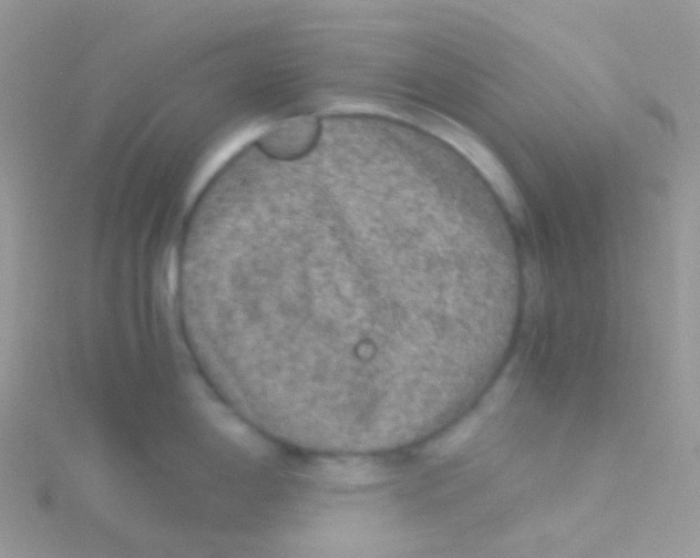 X0000115061198200911231208