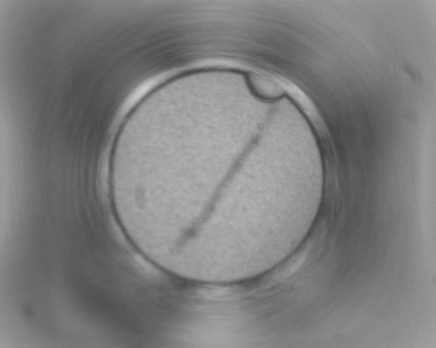 X0000115061199200911231208