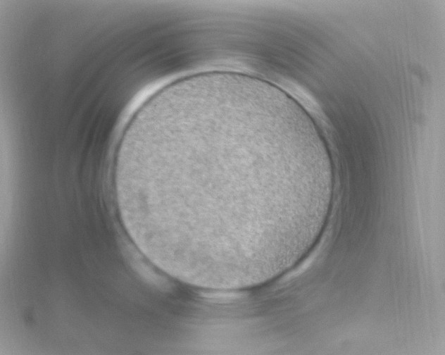 X0000115061200200911231208