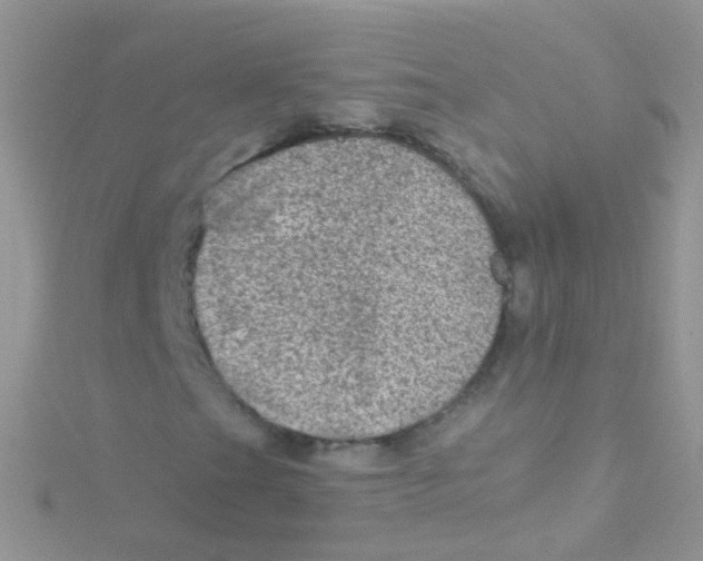 X0000115061201200911231207